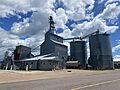 Grain elevators, Cedar Mills, Minnesota