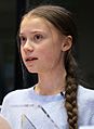Greta Thunberg urges MEPs to show climate leadership (49618310531) (cropped)