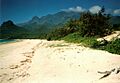 Hinchinbrook Island