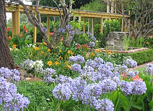 Jimbour House - Outside - Garden View 9