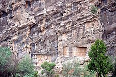 Kazeroun - Tange Chogan - panoramio (13)