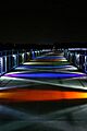 Kruidenier Trail Bridge at night