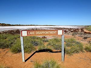 Lake Disappointment 9514
