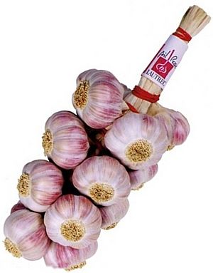 Manouille Ail Rose de Lautrec Label Rouge IGP