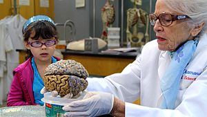 Marian teaches girl about brains