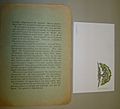 Mears News 1915 p4 with postcard