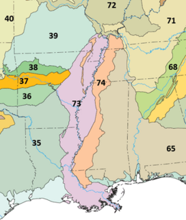 Mississippi Alluvial Plain and Mississippi Valley Loess Plains ecoregion, Level III.png