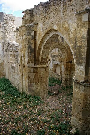 Monasterio de San Salvador de Nogal 13 by-dpc