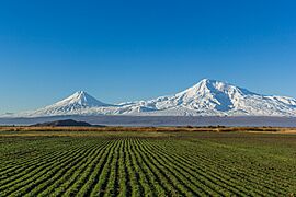 Mount Ararat from Artashat (28mm)