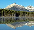 Mount Bosworth seen from Herbert Lake