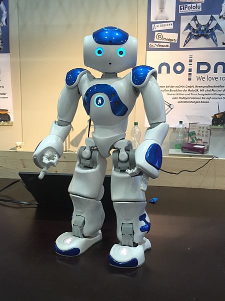 Nao Robot (Robocup 2016)