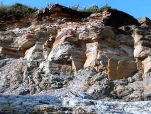 Narrabeen Headland sedimentary rocks