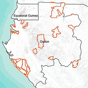 National Park system of Gabon