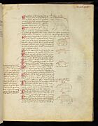 Page from the 'Garden of knowledge (Viridarium)', a medieval encyclopaedia (CBL W 080, f.13r)