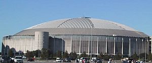 Picture of Reliant Astrodome.JPG