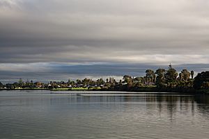 Point England from the Tamaki River.jpg