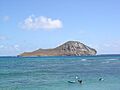 Rabbit Island
