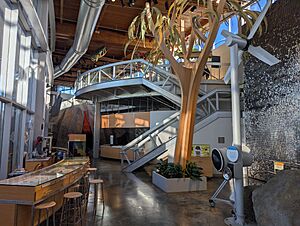 Richard T. Mamiya Science Adventure Center interior