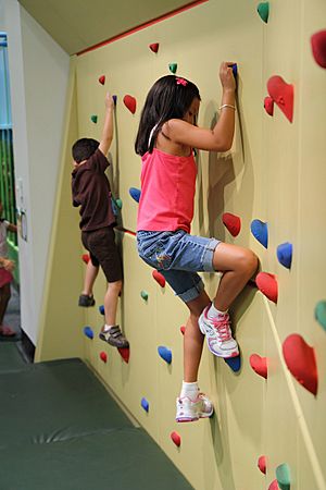 Rock Climbing at Glazer Children's Museum
