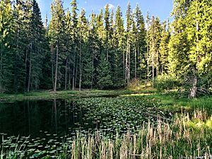 Round Lake State Park