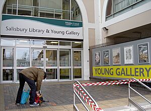 Salisbury library and Young Gallery - geograph.org.uk - 4336329