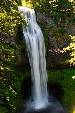 Salt Creek Falls (Lane County, Oregon scenic images) (lanDA0049)