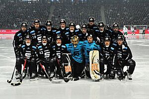 Sandvikens AIK Bandy