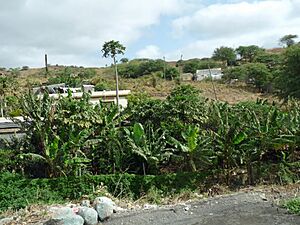 Santiago-São Domingos (3)