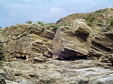 Sedimentary-rock