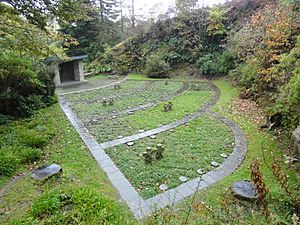 Soldatenfriedhof Glencree 1