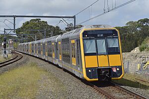 Sydney Trains Tangara at Wolli Creek