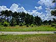 Tall Pines State Preserve - July 2017.jpg