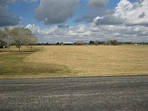 Tavener TX Rural Scene