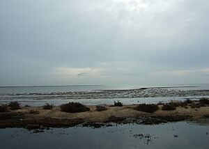 Tidal mud flats, East Mersea - geograph.org.uk - 1182464