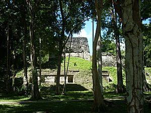 Tikal Plaza of the Seven Temples 2