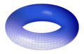 Torus