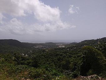 View from Los Bohios de Jaime on PR-975 in Río Abajo, Ceiba, Puerto Rico