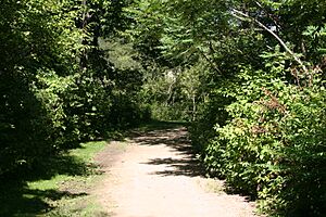 Wildflower and Bird Sanctuary in Mahoney Park 5