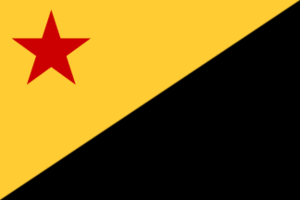 AZAPO National Flag