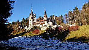 A picture Peleș Castle in the winter