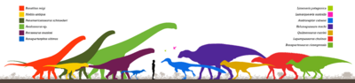 Allen Formation Fauna
