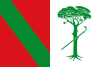 Flag of Valdemeca