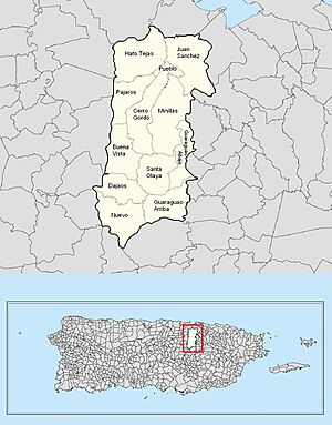 Barrios of Bayamón, Puerto Rico locator map