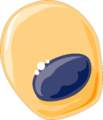 Bone forming cells - Osteoblasts 3 -- Smart-Servier