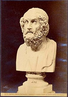 Brogi, Giacomo (1822-1881) - 5113 - Napoli, Museo nazionale. Omero. il miglior busto di questo poeta (Ercolano)