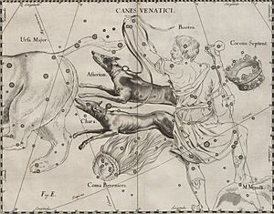 Canes Venatici - Prodromus astronomiae 1690 (5590250)