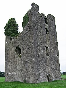 Castles of Leinster- Tinnakill, Laois (2) (geograph 6506412)