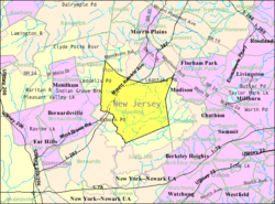 Census Bureau map of Harding Township, New Jersey