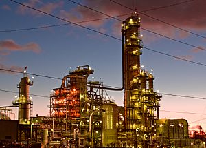 Chevron El Segundo refinery, 2007