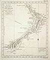 Cook new zealand